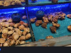 -SEA西雅图海鲜自助餐厅(海乐世界店)