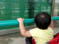 -北戴河圣蓝海洋公园