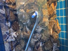 -海天盛宴潮汕蒸汽海鲜高端自助形象店