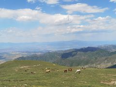-灵山