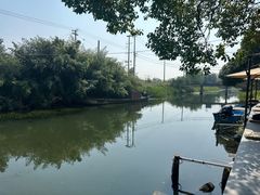 -莲花岛景区