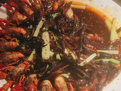 -红盔甲·小龙虾(人民广场店)