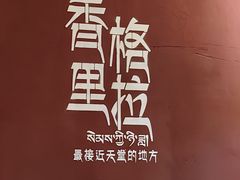-银同牦牛肉火锅