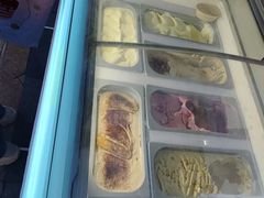 -维尔纳斯·生日蛋糕动物奶油冰淇淋蛋糕(人大店)