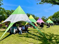 -鹅湖玫瑰文化园