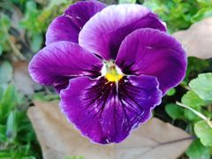 -艾溪湖湿地公园