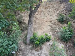 -汉长安城未央宫国家考古遗址公园