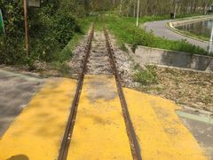 -合肥滨湖国家森林公园