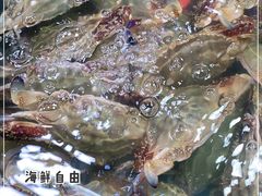 -王四营海鲜市场