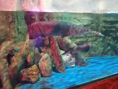 -梦幻海洋王国(吾悦广场张家港店)