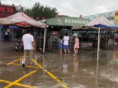 -中环花鸟鱼虫市场
