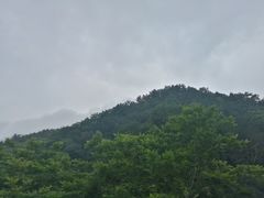 -六里坪国家森林公园