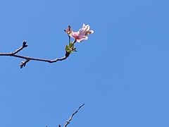 -南山风景名胜区