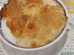桃胶双皮奶-仁信老铺(华盖路店)