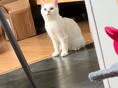 -双龙商场(环城南路店)