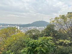 -佛山华盖山公园