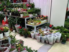 -三旗百汇商品城