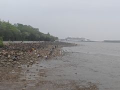 -吴淞炮台湾湿地森林公园烧烤区