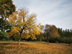 -武清南湖绿博园