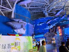 -烟台海昌鲸鲨海洋公园