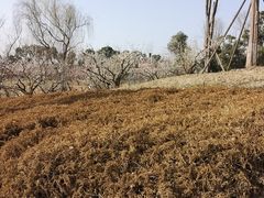 -白鹭湾湿地公园