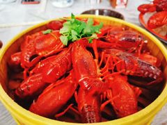 清蒸龙虾-徐嘉赫龙虾馆