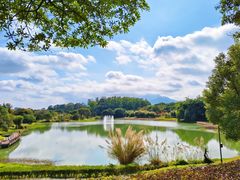 -福建鲤鱼洲酒店