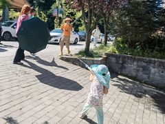 -青峰峡国家森林公园