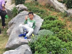 -东莞植物园