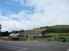 -富田农场