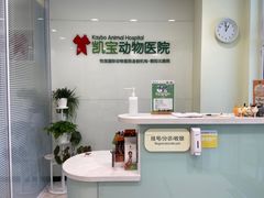 -悦宠凯宝动物医院·牙科·皮肤科(朝阳北路店)