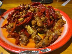 -柴窝堡22号辣子鸡·传承新疆菜