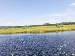 -塞罕坝国家级自然保护区