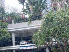 -碧桂园十里银滩