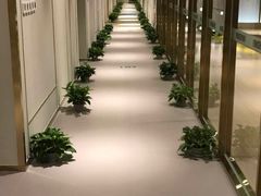 -银吉姆健身(恒隆馆)