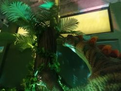 -恐龙探索乐园(磁器口店)