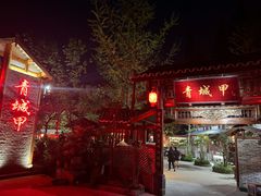 -青城甲(青城山店)