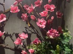 -新盈光·旗舰店(海曙苍松路店)