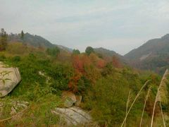 android_upload_pic-五祖寺