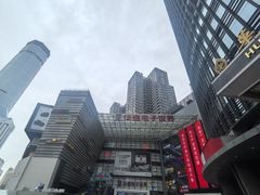-华强电子世界(深圳二店)