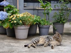 -转山咖啡(松柏社区店)