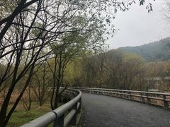-西湖风景区-江洋畈生态公园