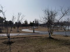 -南汇新城城市公园