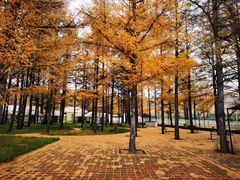 -塞罕坝国家级自然保护区