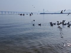 -星海广场