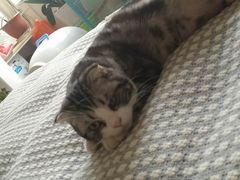 -惠康宠物医院(华能路店)