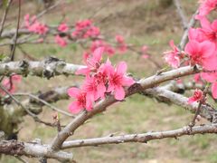 -象头山国家级自然保护区