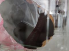 -珍糕兴(三林店)
