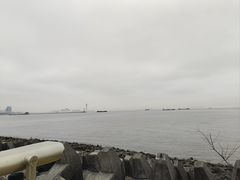 -上海滨江森林公园