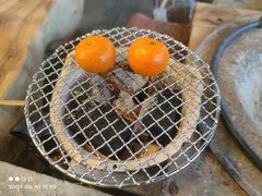 -景迈森林(古华园店)